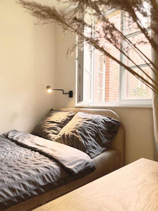 Natural Apartment In The City Center - Old Town Wrocław Extérieur photo