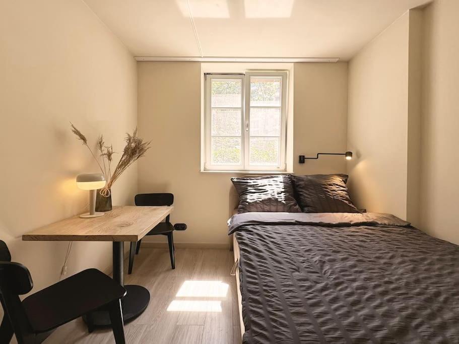 Natural Apartment In The City Center - Old Town Wrocław Extérieur photo